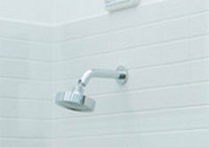 whitehaus shower accessories