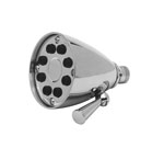 Brasstech 211-20 Large Showerhead-Stainless Steel-P.V.D. (Pictured in Polished Chrome)