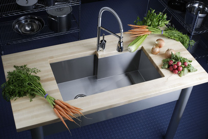 Elkay EFUS342110R Avado Single Bowl Sink - Stainless Steel (Pictured w/Faucet - Not Included)