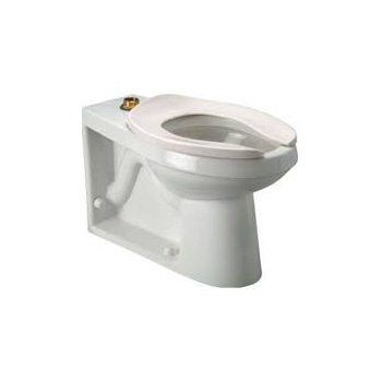 Zurn Z5654-BWL Flush Valve Toilet Bowl Only with Bedpan Lugs - White