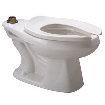 Zurn Z5665-BWL Toilet Bowl Only Floor Mounted Elongated Toilet System - White