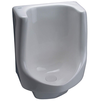 Zurn Z5795 Large Waterless Urinal - Almond
