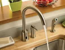 Danze Parma Hands Free Kitchen Faucet With Spray